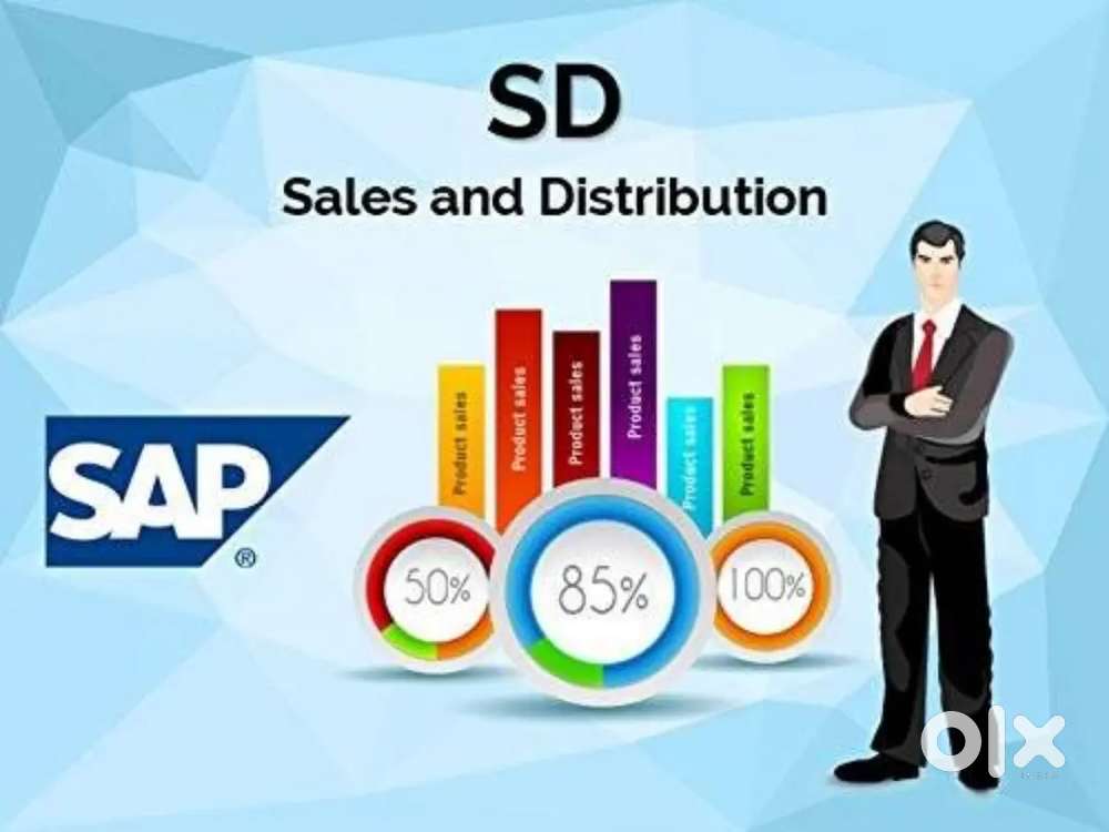 Sap (sd) training & placement