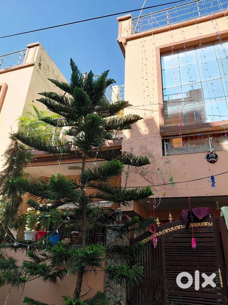 Need a  girl roommate