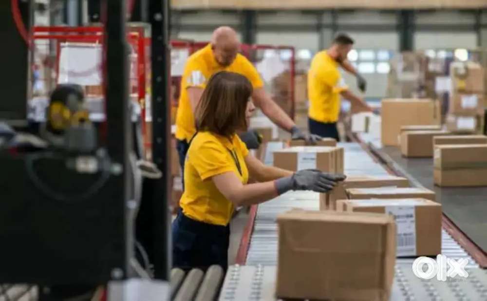 WARE HOUSE PACKING, HELPER,SCANNING JOB IN LUCKNOW LOCATION!
