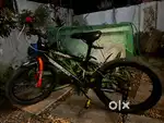 Aviator cycle