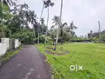 5Cent Land For Sale In Neericode Near Kongorpilly Varapuzha