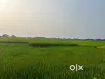 Roadside land