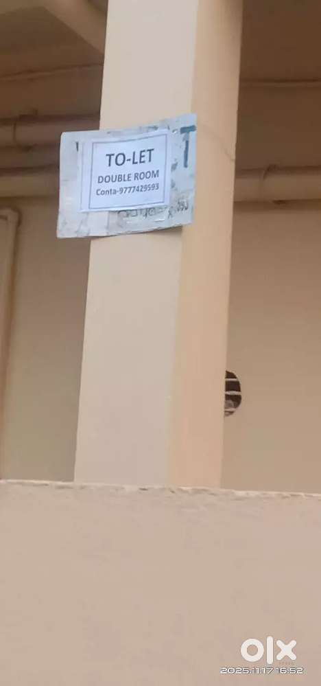 Need a girl roommate