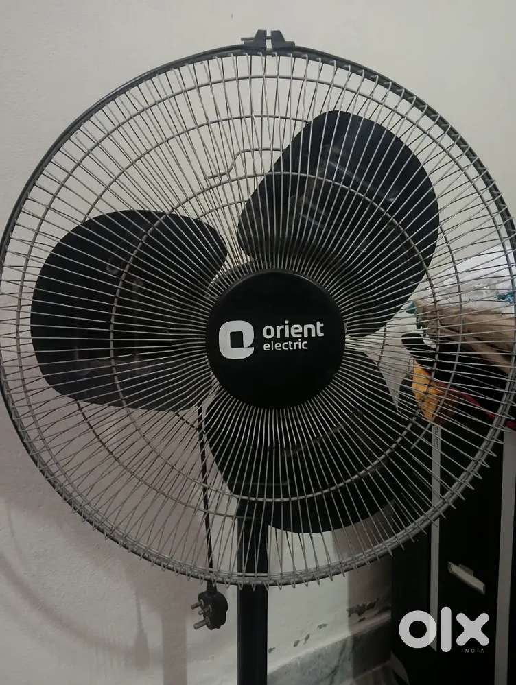 Pedestal fan (orient)