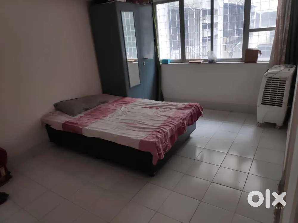 Female flatmate need