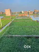 Plots available near Patna dobhi four lane.