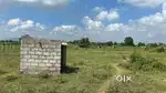 Kothagudem   Housing board area
