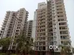 YTT life and joy Sultanpur road near HCL