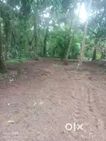 2.50 lakhs / 18 cent ( Negotiable)