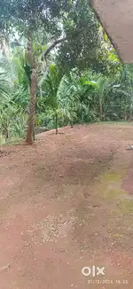 900 sq വീടും 50സെന്റ് സ്ഥലവും