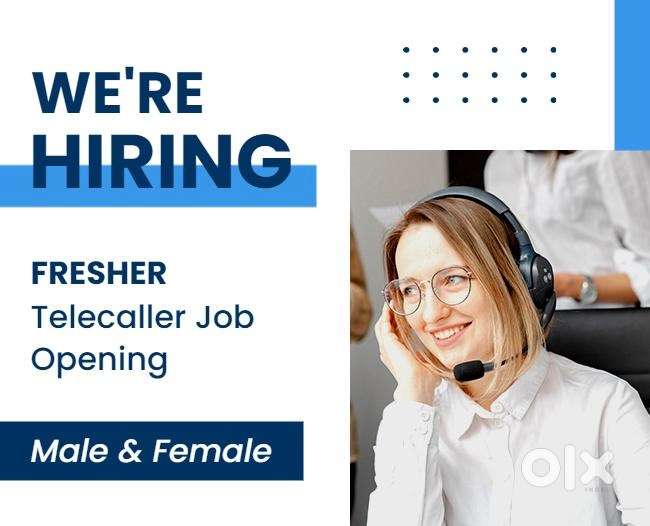 Fresher and experience both can aplly