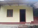 Beautiful house in 1500 sqft plot