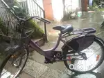 Best Cycle in grils