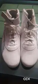 Puma BMW motorsports Shoe Brand New