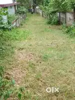 16 cent land in Mala Kuzhur for sale