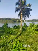 13 cent periyar waterfront land for sale near kalady,Perumbavoor,plot