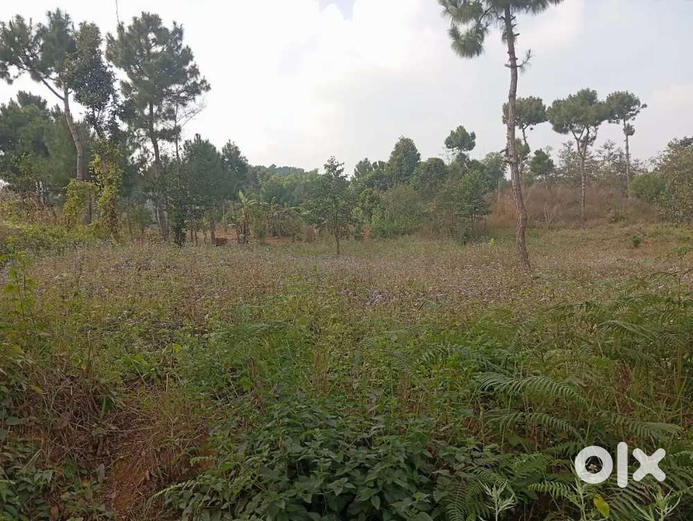 Ka jaka ban die ha diengpasoh