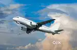 Urgent hiring in Indigo airlines apply fast limited seats available