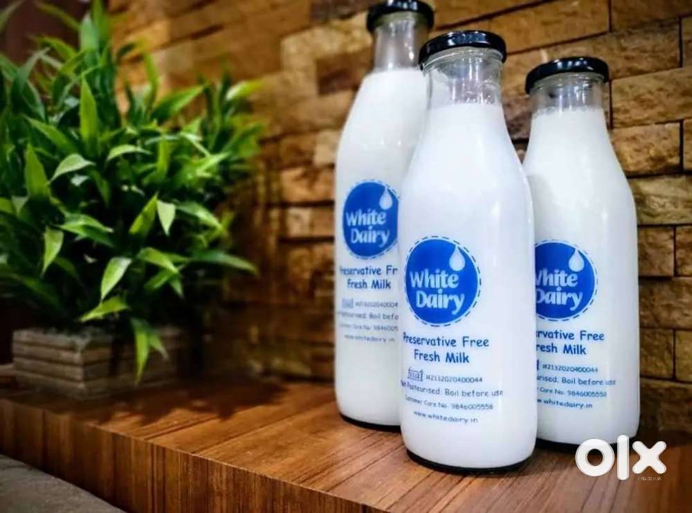 Part time Job - Milk Delivery