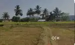 Plot available for sale