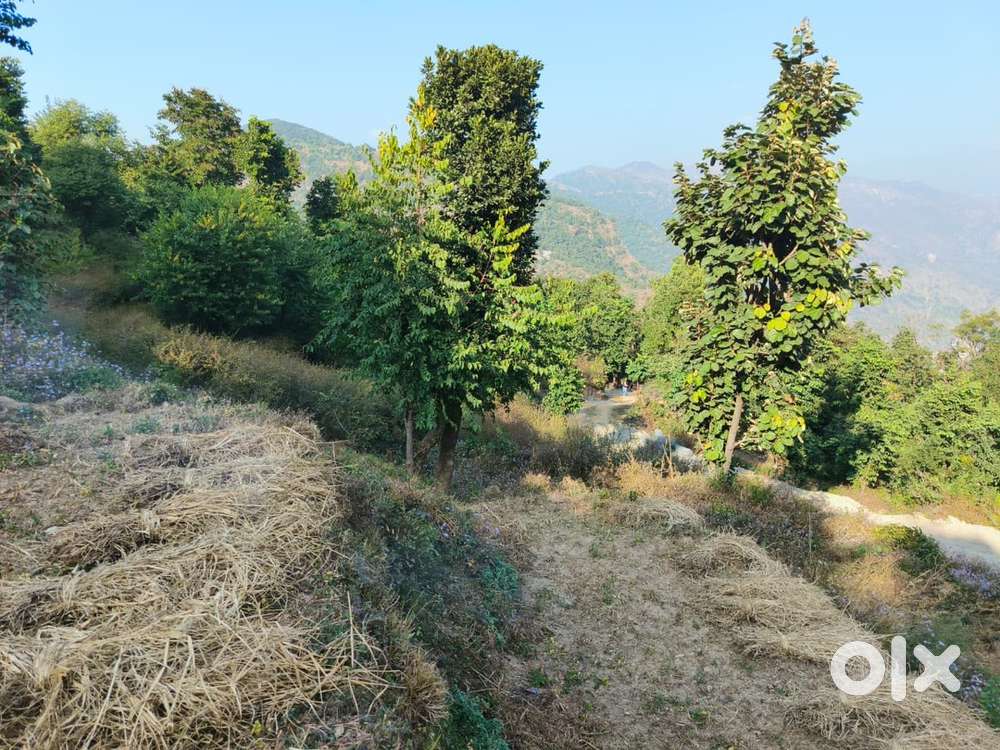 400 Gaj and above plots available at Bautha near by maldevta