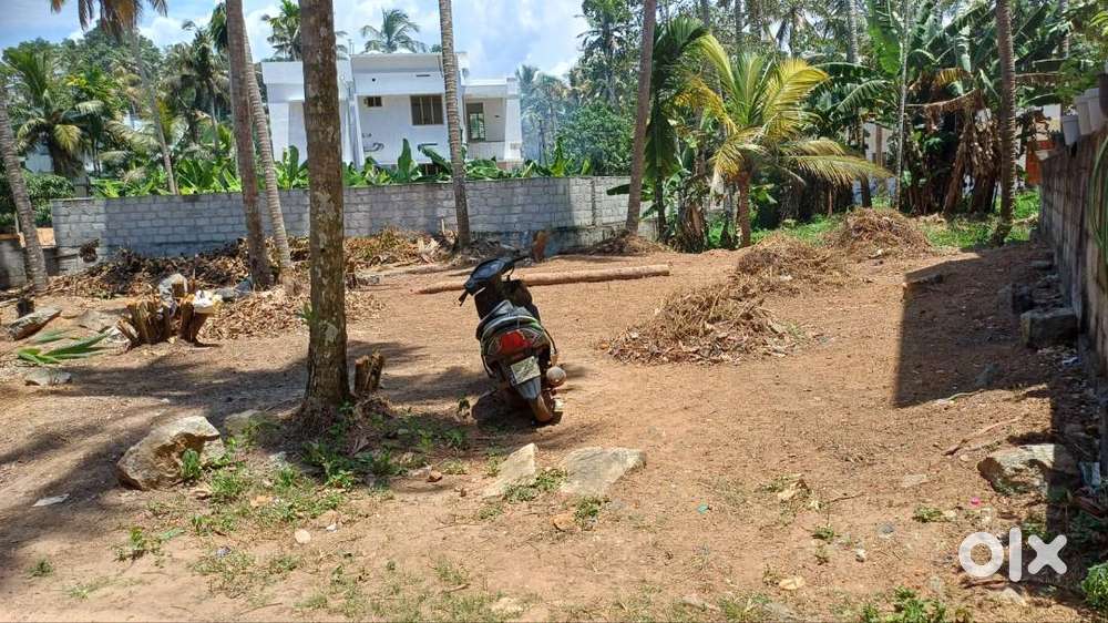 ID-B231247 Plottable 8.6 Cent Land for Sale at Sreekaryam Cheruvakkal