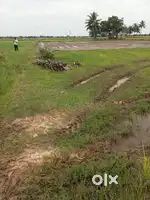 2 plots, Injambakka, village kancheepuram