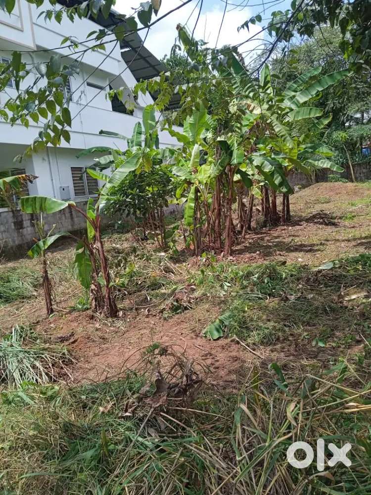 Nadathara poochatty,        5 meter taring road frantege