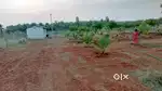 Agricultural land for sale