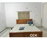 Need a job holder or study girl for a 2BHK...