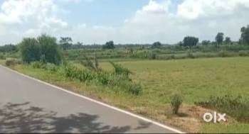 Mine road land 24.kuntte sell hassan mysore mine road