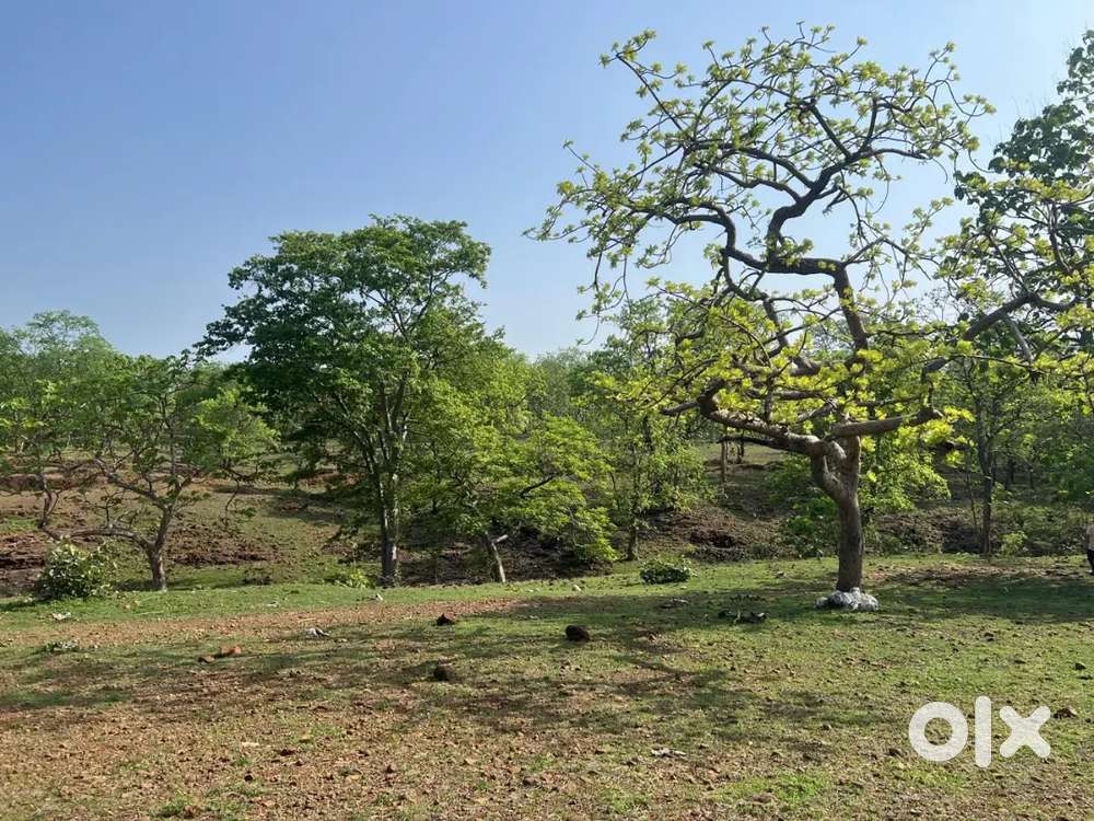 Farm house plot for sell