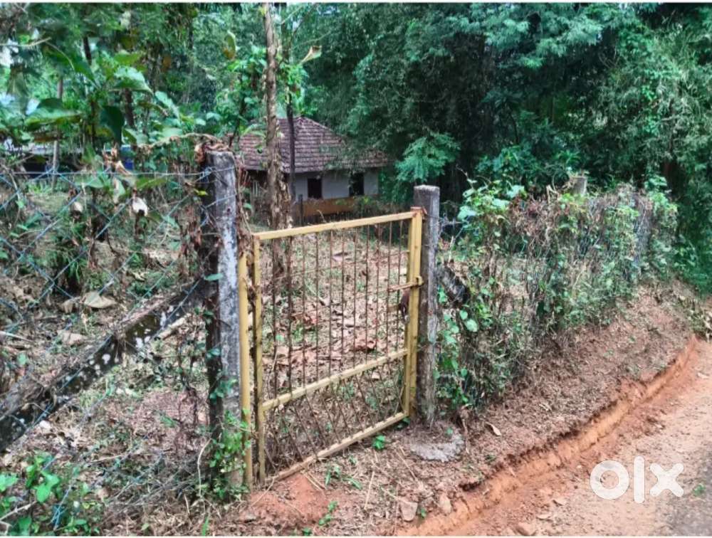 House Plot for sale near Kendreya Vidyalaya and Nss college.