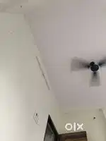 Flate partner