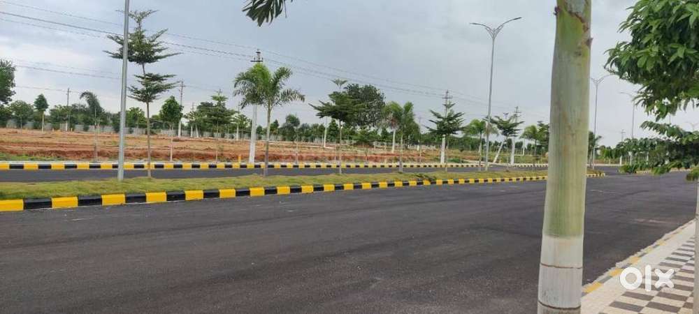 Immediate Registration & Construction