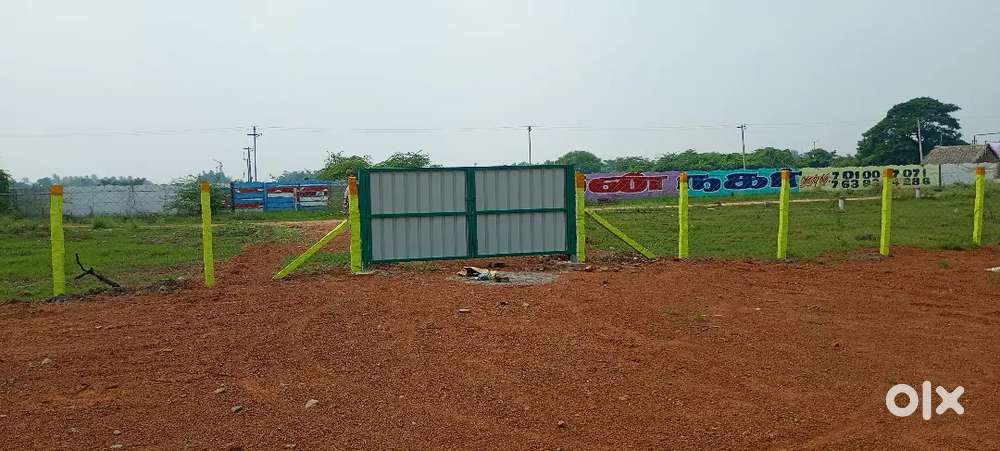 Thanjavur punnainallur Mariamman Kovil pulianthoppu village