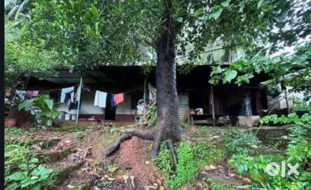 10 cent old house near kanav skin care pangle darbe puttur