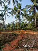 17 Cents (Full or Part) Apartment Site at Chevayur with Plan