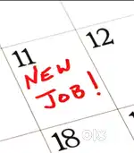 Picker /packer job . No fees , next day joining.