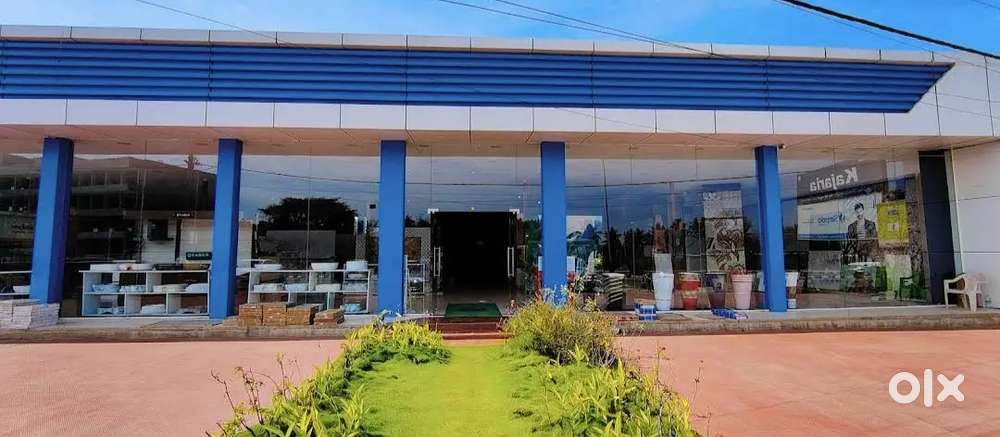 Sales and marketing executive