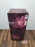Best offer available in Protronics Appliances refrigerator with warran