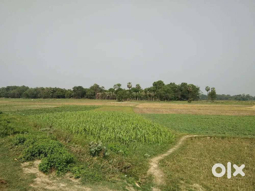 कोरबा में 60 जमीन बेचना है