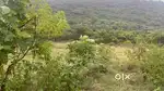 Plot for sale behind iob colony