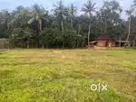 1 Acre field land for sale suitable for all type farming well water