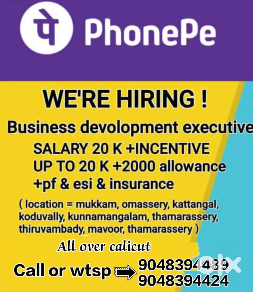 Phonepe Business development executive