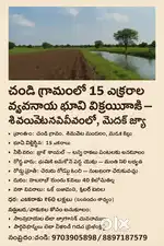 15 Acres Agricultural Land for Sale in Chandi Village, Near Shivanpet