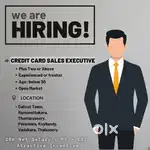 Sbi Card sales