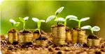 Micro Finance