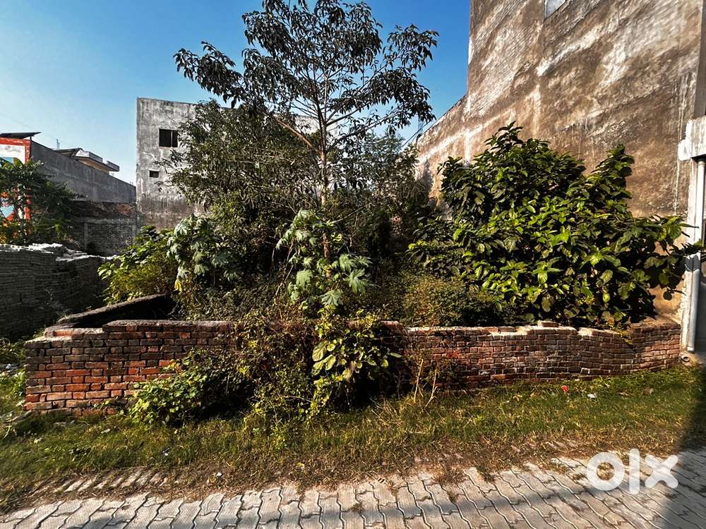 Its a good plot for house