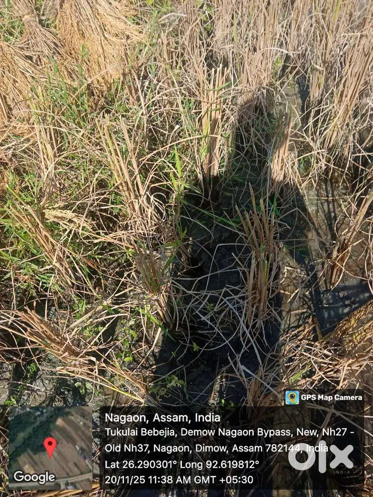 Land For Sale 3 Kotha Urgent Sale